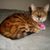 Kimmie Forbes Mathews's profile image