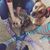 RicknSue Haack's profile image