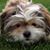 Amy Knoll Jury's profile image
