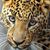 Pat G Byers's profile image