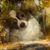 Nancy Ripley Meahl's profile image