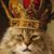 Matt Rickett's profile image