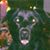 Cheryl Penrod-Harper's profile image