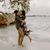 Crissy Tud's profile image