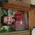 Arnoldo Moya's profile image
