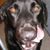 Arcie Dee's profile image