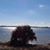 Joan Hembree Davidson's profile image