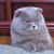 Justin Newman's profile image