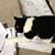 Larry Burja's profile image