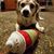 Michelle Wilson Agrela's profile image