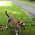 Hazel Shannon Judy's profile image