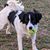 Teresa Bettis Foster's profile image