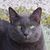 Bill Dunn's profile image