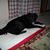 Barbara McCartney Moses's profile image