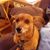 John Roy Clark's profile image