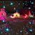 Nancy Larson-Kichak's profile image