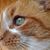 Lynn Alspach's profile image
