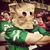 Bobby Kunz's profile image