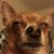 Mitchell Perry's profile image
