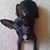 Sheila Roberts Stirling's profile image