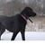 Dee Stacey Bunstein's profile image