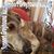 Marcia Krey's profile image
