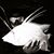 Brandon B Swimmin's profile image