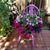 Sue Tarr's profile image
