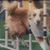 Amy Fulton's profile image