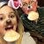 Jonica Richards's profile image