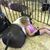 Nicole Ward's profile image