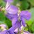 Debra A Bernhardt's profile image
