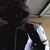 Qaiser Chaudhry's profile image