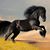 Margaret Giardino's profile image