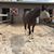 Sharon Munson's profile image