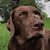 Bryan Zahn's profile image