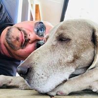 Erich James's profile image