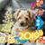 Judy Vernold Borovsky's profile image