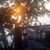 Ginger Moberg Pennaz's profile image