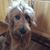 Susanne Tricia's profile image