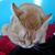 Pam Smith's profile image