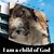 Roy Marais's profile image