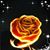 MaRaye HonSev's profile image