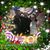 Paul Flynn's profile image