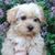 Ivonne Falcon's profile image