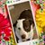 Becky Murray's profile image