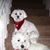 Deb Ruppe's profile image