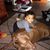 Terri Shepherd's profile image