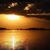 Ester Gutierres's profile image