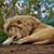 Benito Sanchez's profile image